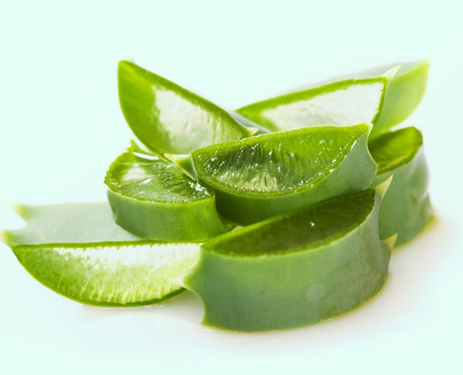 aloe vera for hair fall inside 