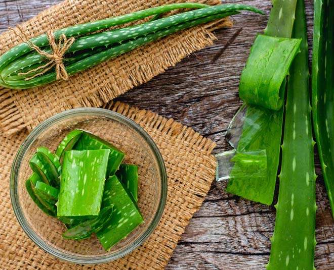 aloe vera for under eye wrinkles