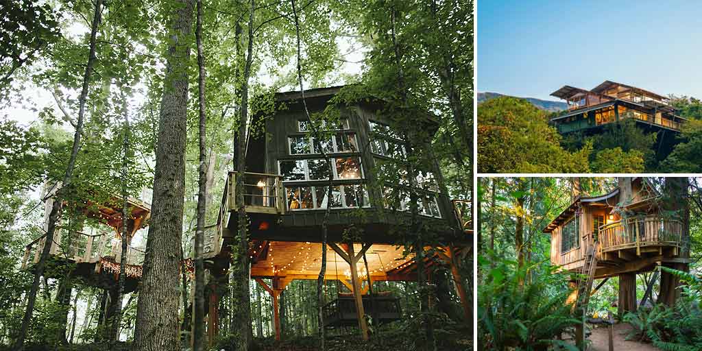 7 Tree Houses In India That Will Take You Back Into Your Childhood