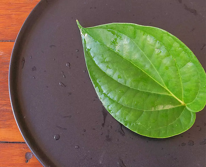 experts-dolls-out-7-reasons-why-you-should-eat-betel-leaves-herzindagi