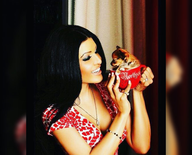 koena mitra bollywood actress