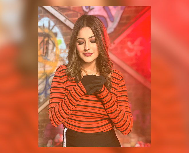 shehnaz gill singer inside 