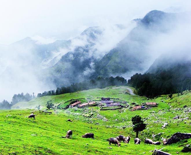 sikkim tour plan for  days