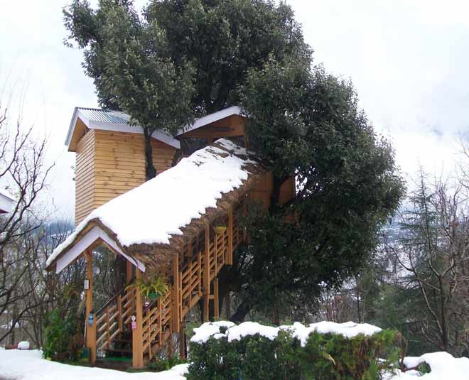 7 Tree Houses In India That Will Take You Back Into Your Childhood