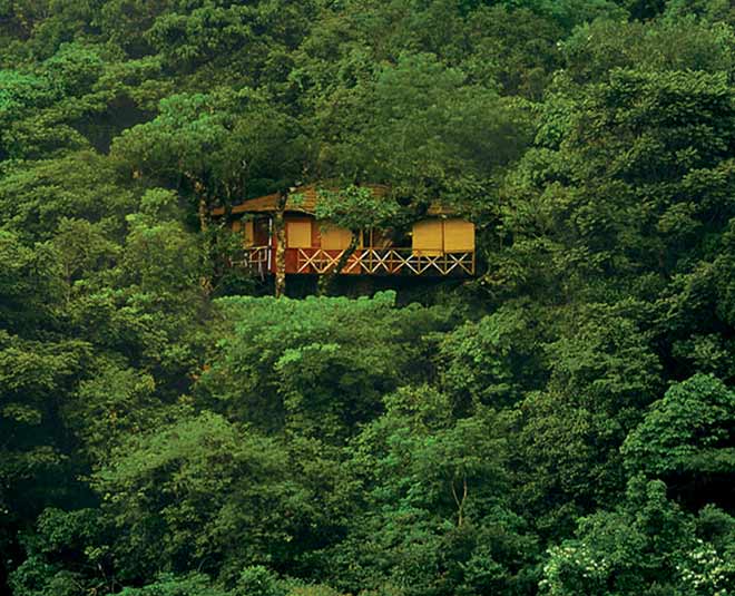 tree house in jungle inside 