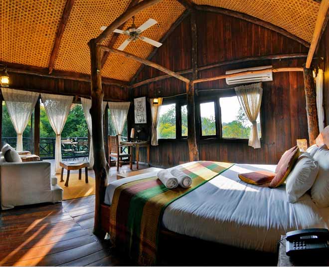 tree house to enjoy ambience inside 