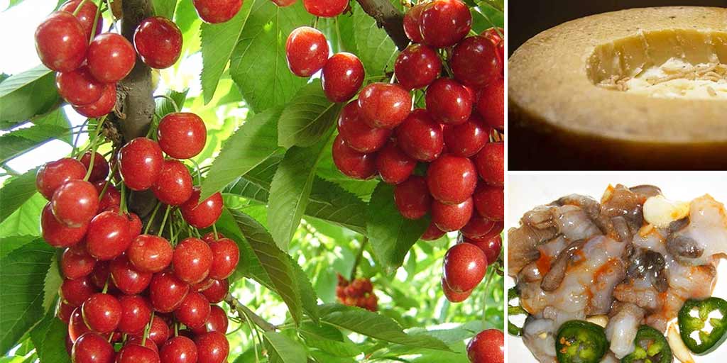 7 Most Poisonous Foods In The World