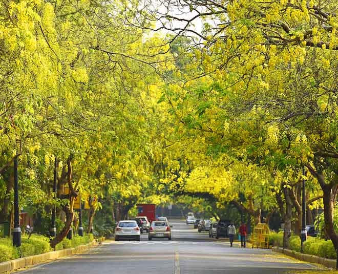 These Roads Of Delhi Are Adorned With Dense Trees Visit Here In Hindi