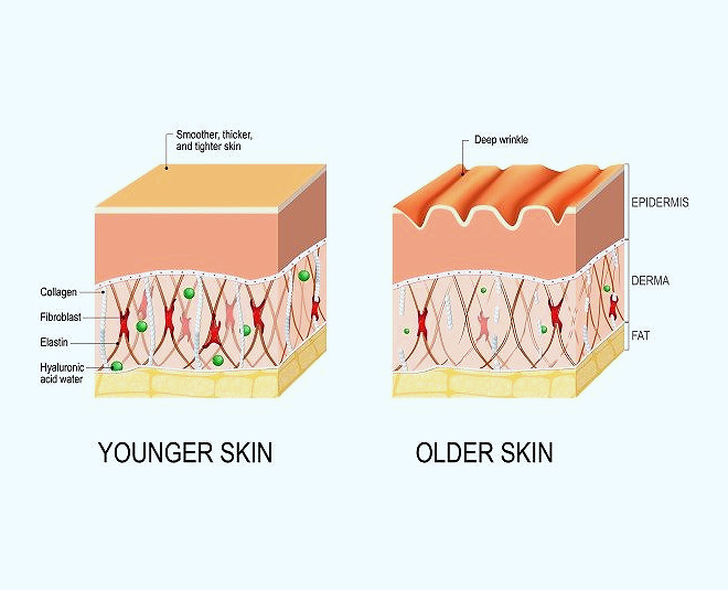 benefits collagen