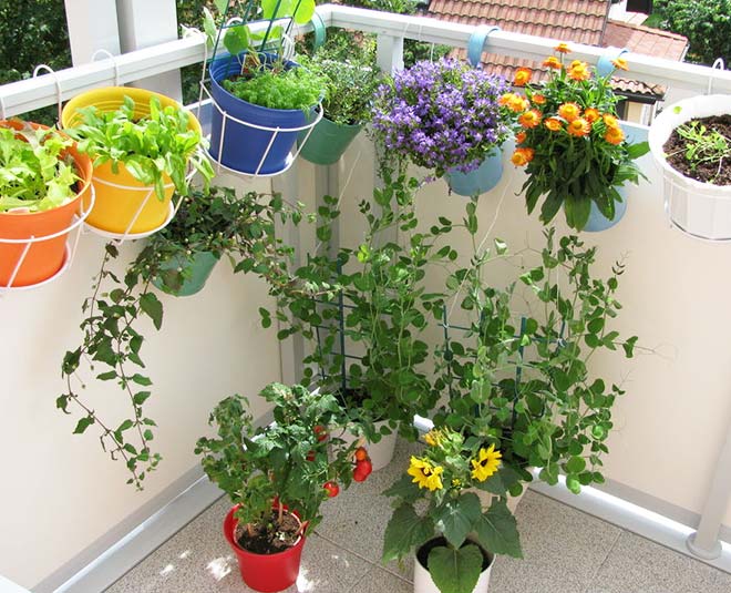 cheap home decor ideas for married couple inside 