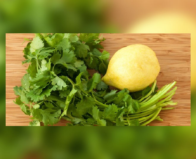 How Coriander Face Pack Promotes Beautiful Skin how coriander face