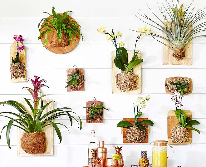 ideas to decorate  fireplace in your home inside 