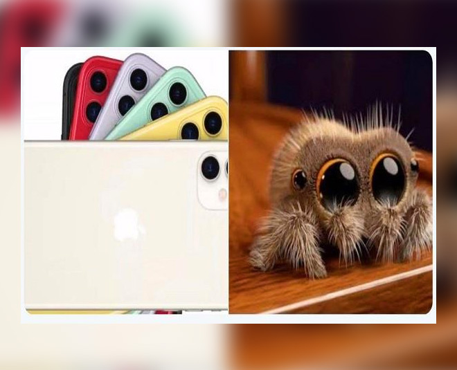 Apple Launches Iphone 11 Gets Compared To Spider Eyes Coconuts