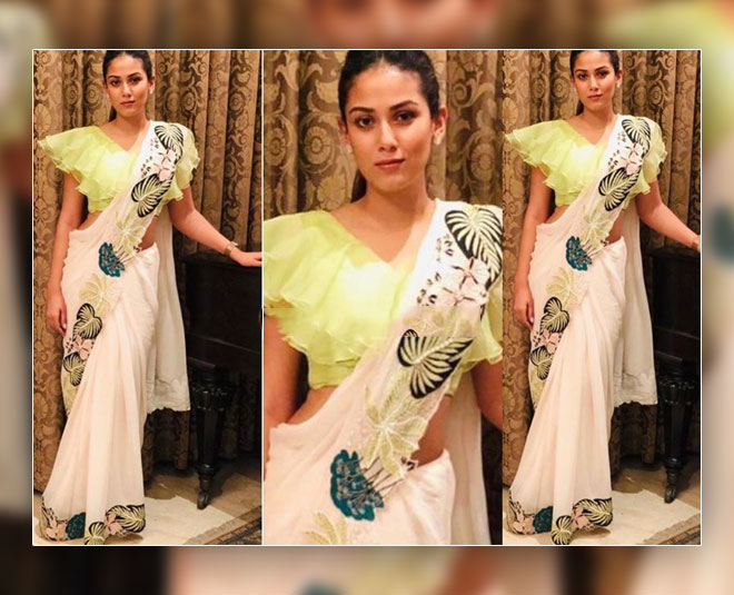 5 Times When Mira Rajput Redefined Elegance In Sarees