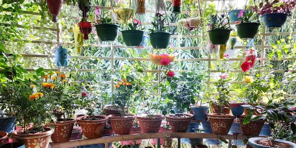 How To Make Your Garden Look Colourful During Monsoonमानसून में बगिया