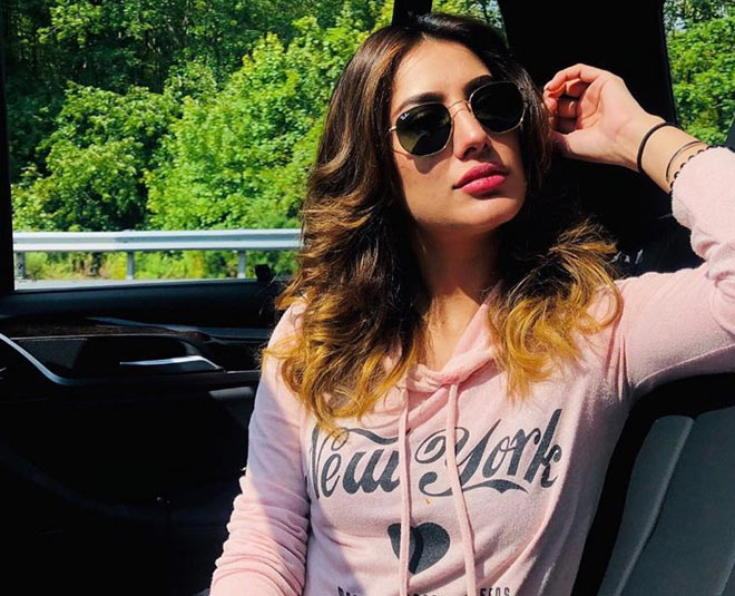 pakistani actress mehwish hayat post picture with nick jonas inside 