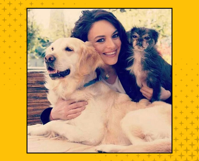 small things you can learn from your pets inside 