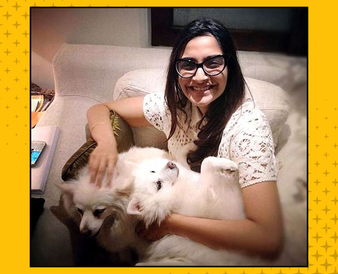 small things you can learn from your pets inside 