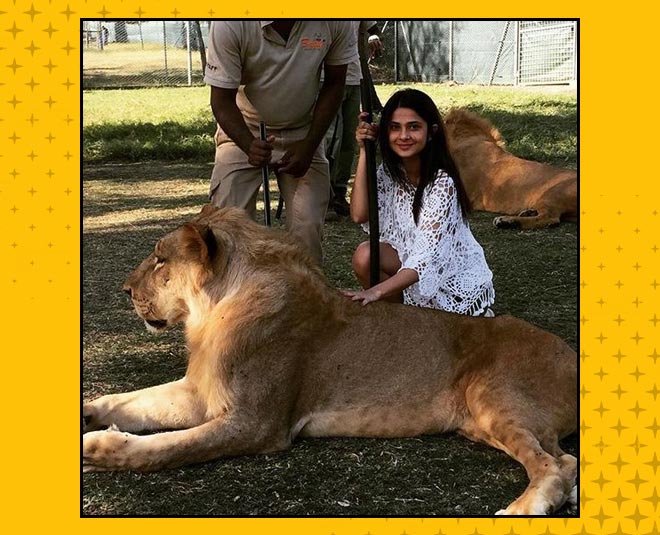 small things you can learn from your pets inside 