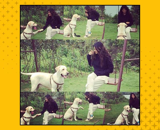 small things you can learn from your pets inside 