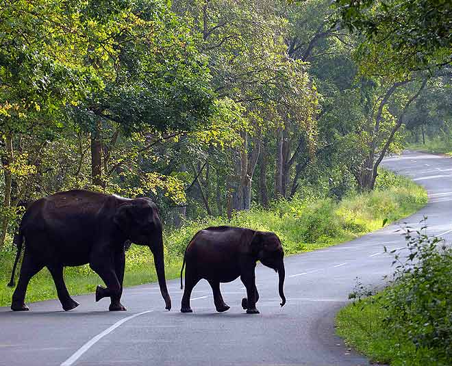 what is the best time and best places to visit kerala inside 