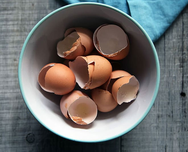 eggshells in kitchen sink