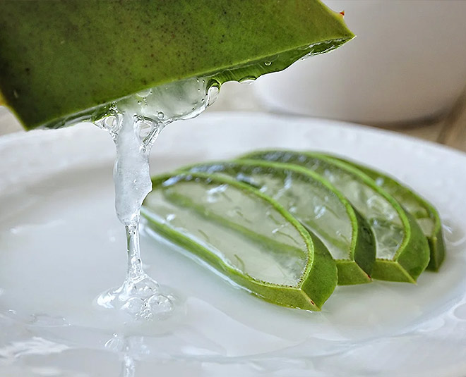 aloe vera krystle