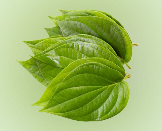 Expert Tips: Health Benefits of Eating Betel or Paan Leaves | health  benefits of eating betel or paan leaves by expert | HerZindagi