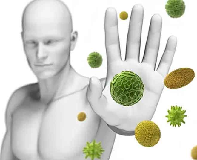 cinnamon tea benefits for immunity