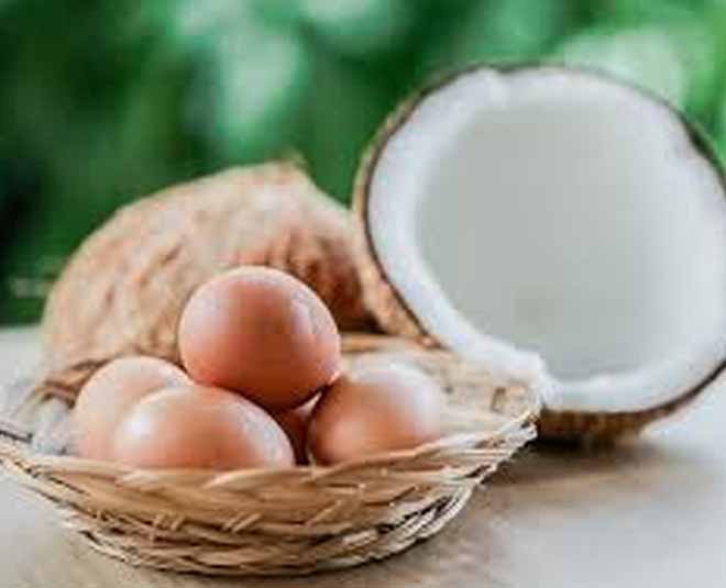 coconut oil egg