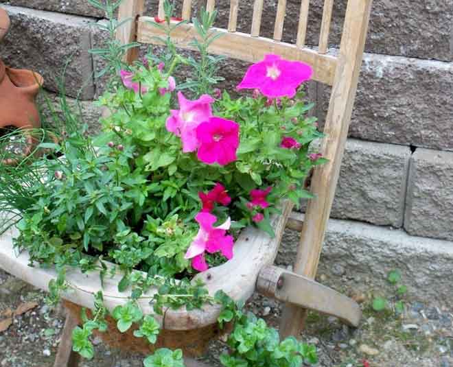 decorate garden with waste material Inside