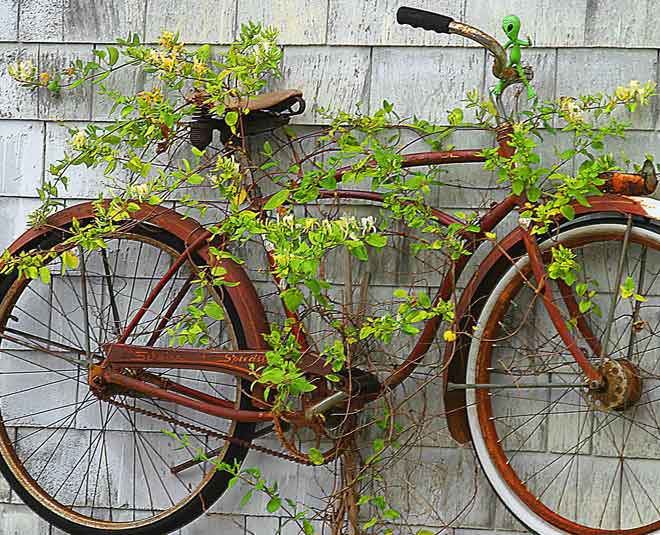 decorate garden with waste material Inside