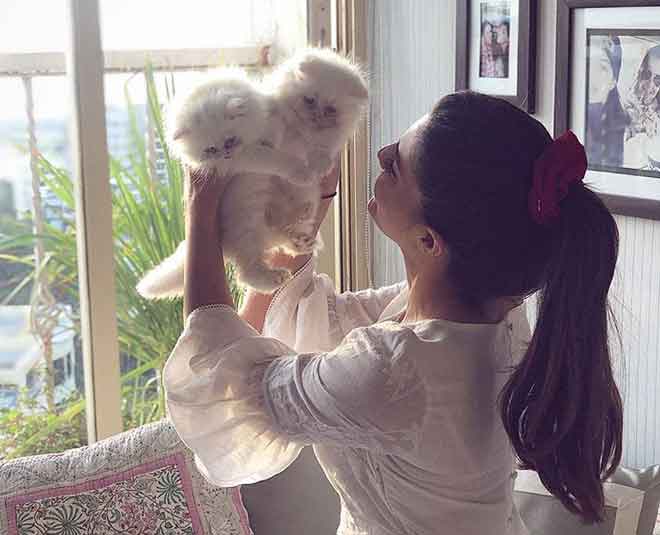 jacqueline cats insta