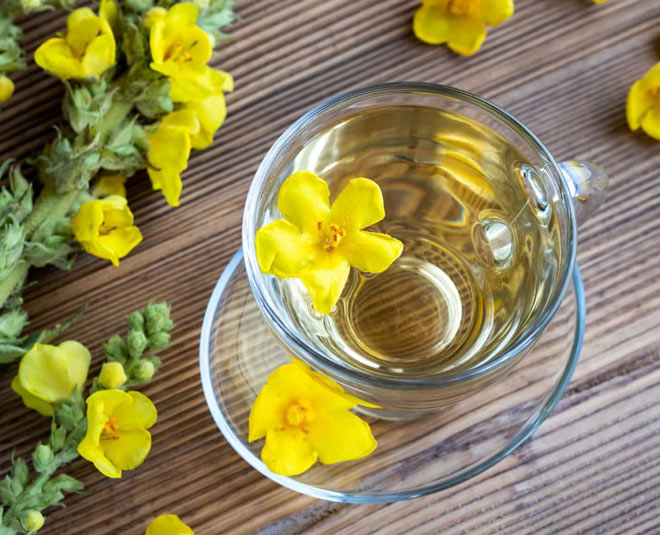 mullein tea benefits one