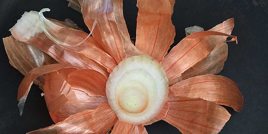 Don't Throw The Onion Skin, Instead Use Them In These