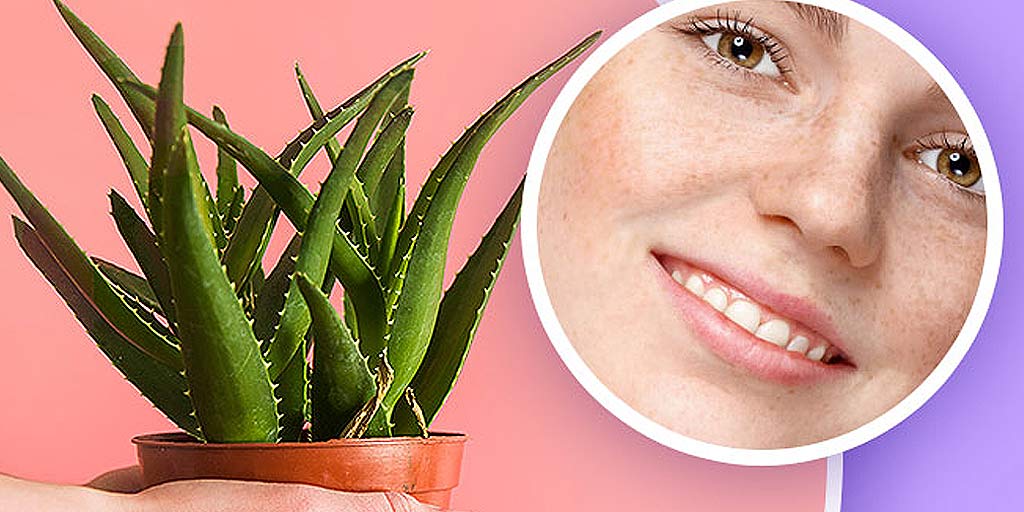 jhaiyo ke liye best face wash