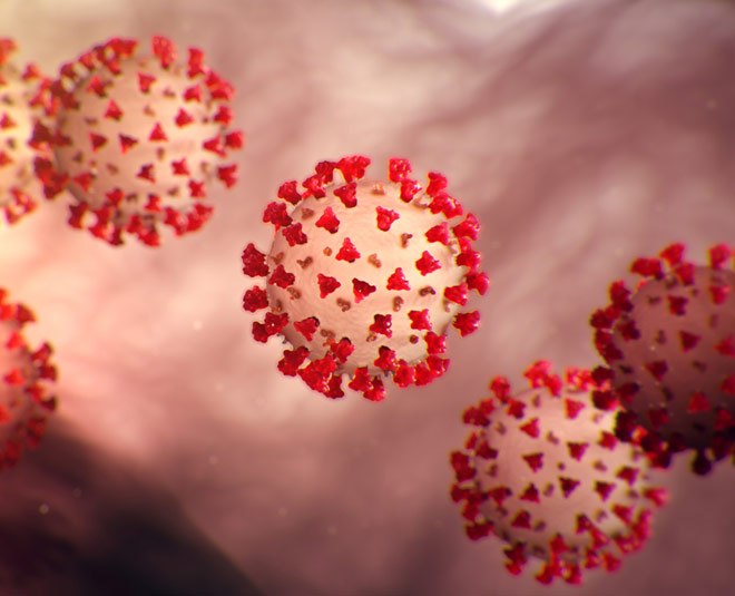 pregnancy coronavirus inside 