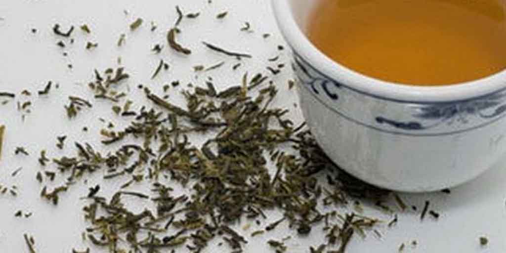 5 Ways You Can Reuse Leftover Green TeaHere Are Five Ways You Can