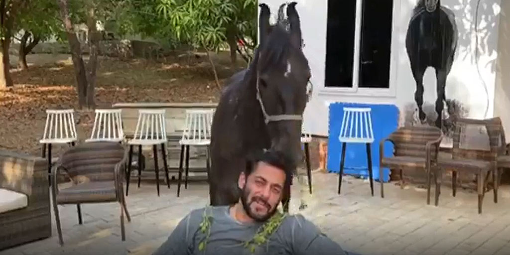 Salman Khan Enjoys Breakfast With His Love In Panvel Farm House Viral