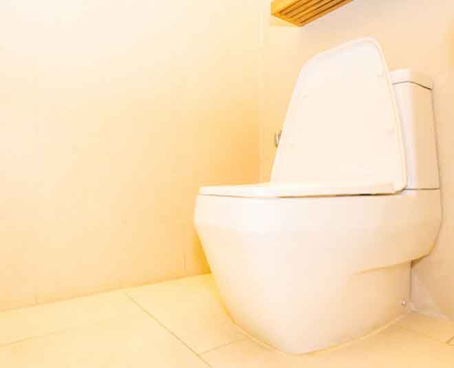 some homemade toilet cleanser Inside