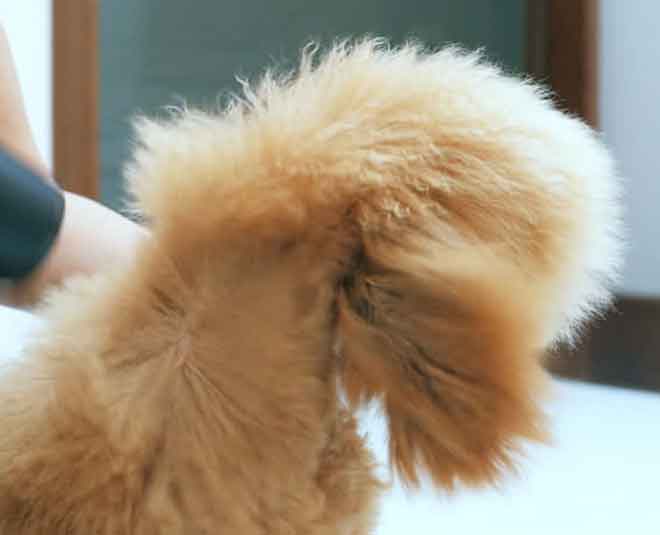 you can do with hair dryer Inside