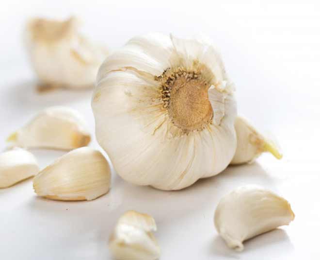 Garlic