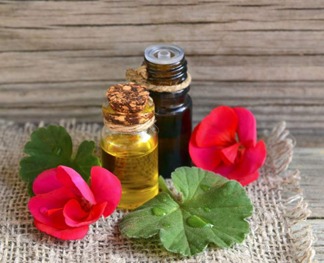 https://images.herzindagi.info/image/2020/Aug/Geranium-Oil-Is-A-Must-Have-For-Every-Woman.jpg