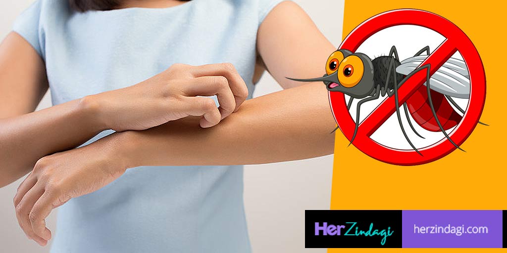 Mosquito Repellent Scents To Keep The Insects AwayWorld Mosquito Day