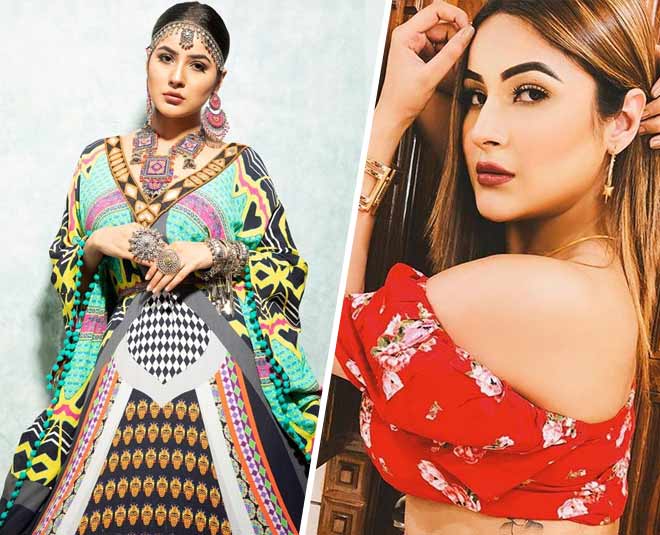 Bigg Boss 13 fame Shehnaz Gill looks breathtakingly beautiful in this  picture; fan dedicates 'Proper Patola' song - Times of India