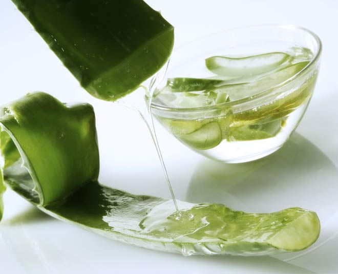 Homemade Aloe Vera Oil Use This Homemade Aloe Vera Oil For Thick Long Hair Herzindagi 9910