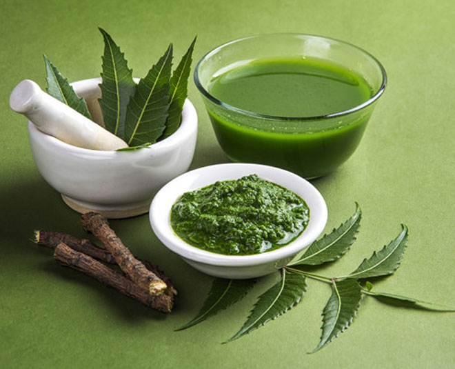 dengue prevention neem leaves inside 