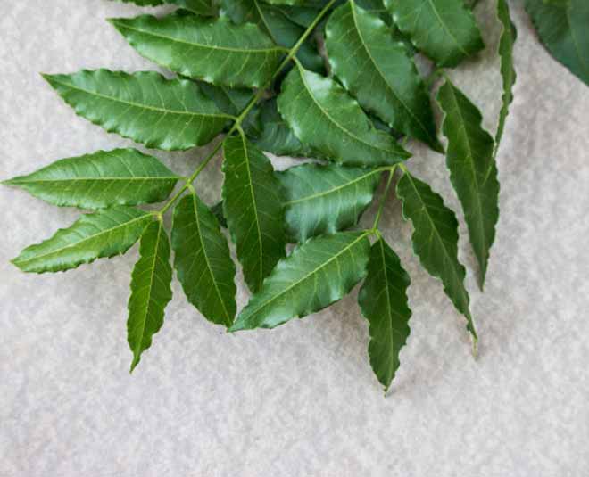 neem store pulses and grains inside