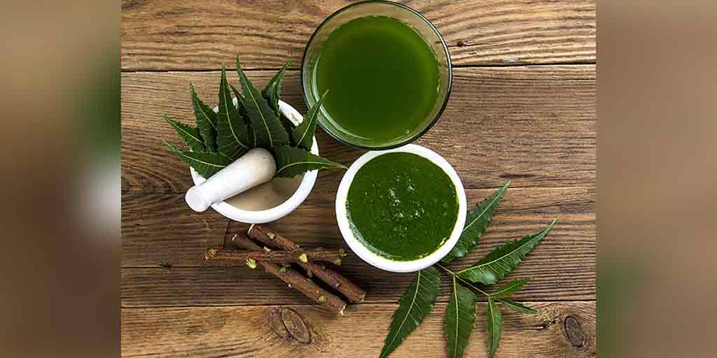 Neem These Reasons Will Compel You To Chew This Plant Leaves Daily