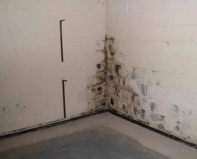 seelan at home inside